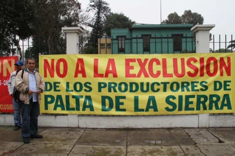 PRODUCTORES DE PALTA HASS DE LA SIERRA DEJARÍAN DE EXPORTAR US$ 50 MILLONES