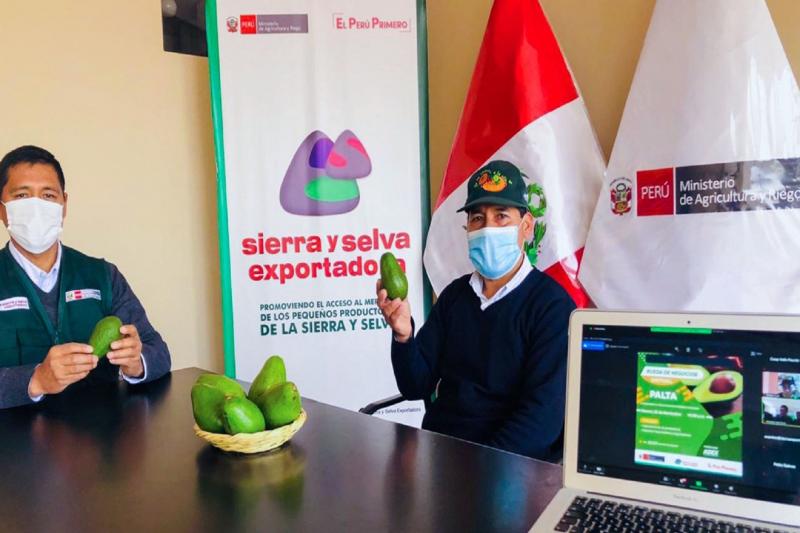 Productores de palta registraron ventas por S/ 3.681.000 en rueda de negocio virtual