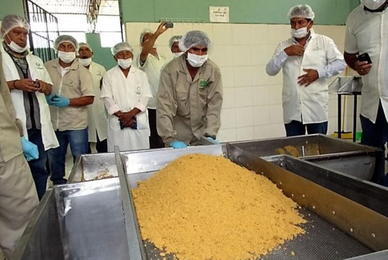 Productores de Piura envían 69 toneladas de panela orgánica a España y Francia