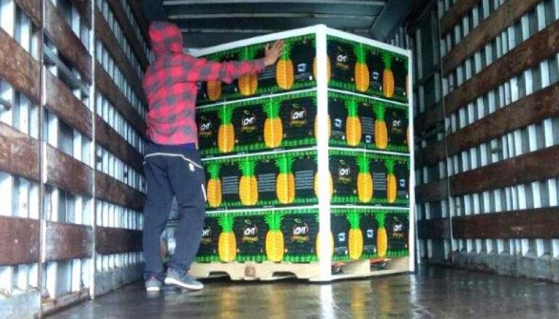 Productores del VRAEM exportan por primera vez piña a España