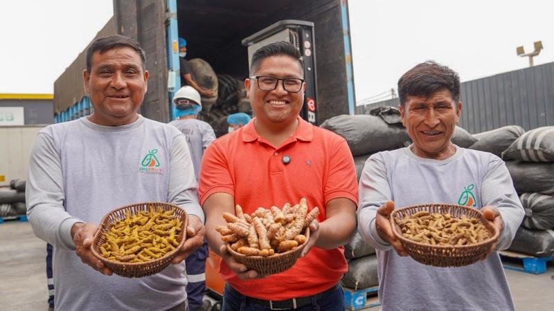 Productores del VRAEM venden 48 toneladas de cúrcuma por S/ 377.100