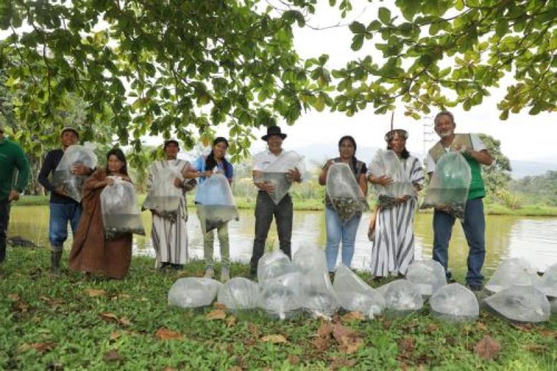 Productores indígenas reciben 29.000 alevinos de paco para emprender negocios