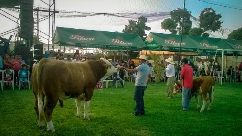 Productores lecheros de Lambayeque incrementaron su productividad en 120%