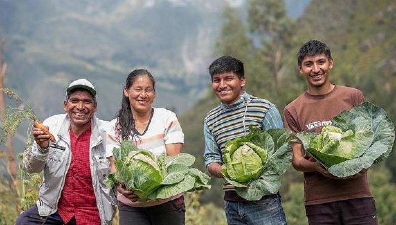 Productos orgánicos camino a estar exonerados de impuesto a la renta por tres años