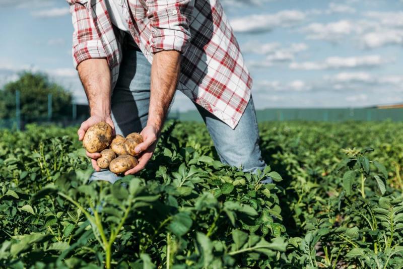 Programa “Allin Kawsay” capacitó a más de 10.000 agricultores en Huánuco