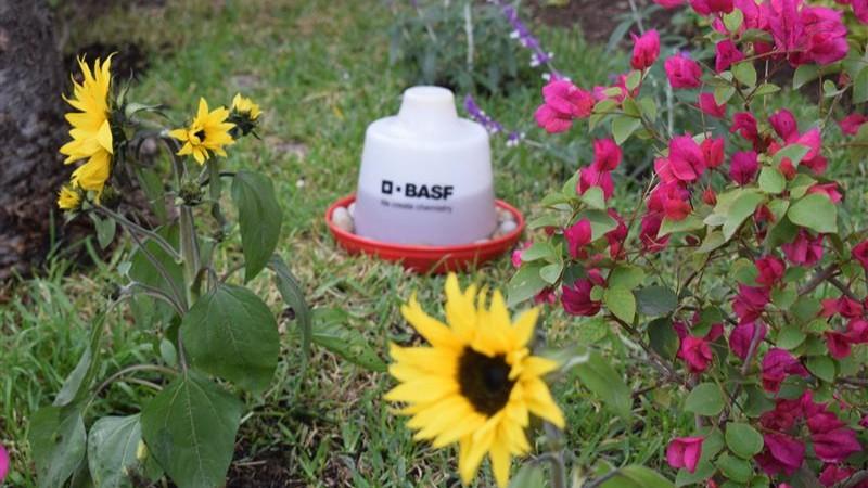 Programa de conservación de biodiversidad impulsa buenas prácticas agrícolas para proteger a los polinizadores y organismos benéficos