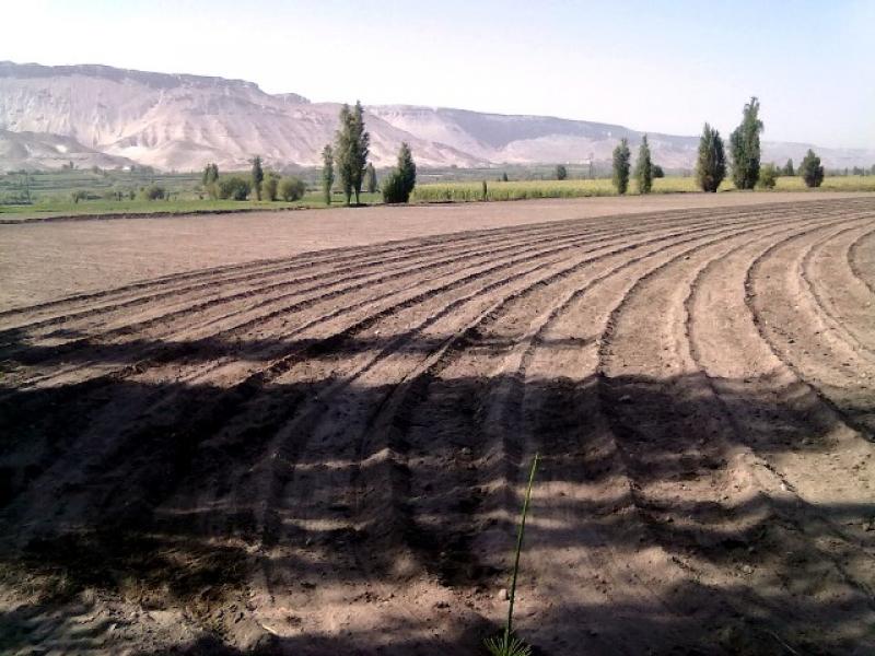 PROGRAMA “TAMBO AGRÍCOLA” DESTINA APOYO A  AGRICULTORES DEL VALLE DEL TAMBO