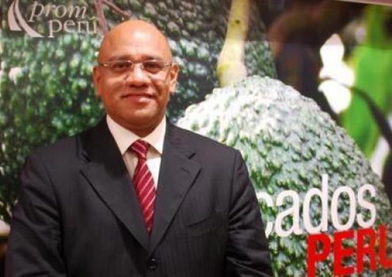 PROHASS: HAY 4 NUEVOS PROCEDIMIENTOS PARA EXPORTAR PALTA HASS A EE.UU.