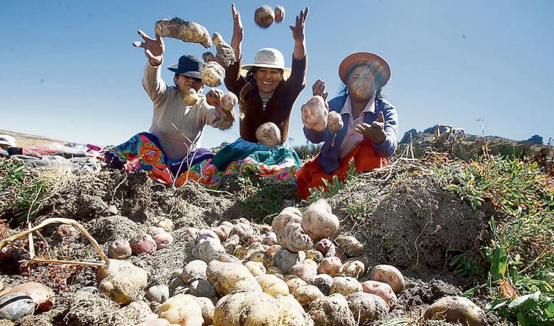 Promulgan Ley de compras estatales de alimentos a agricultura familiar