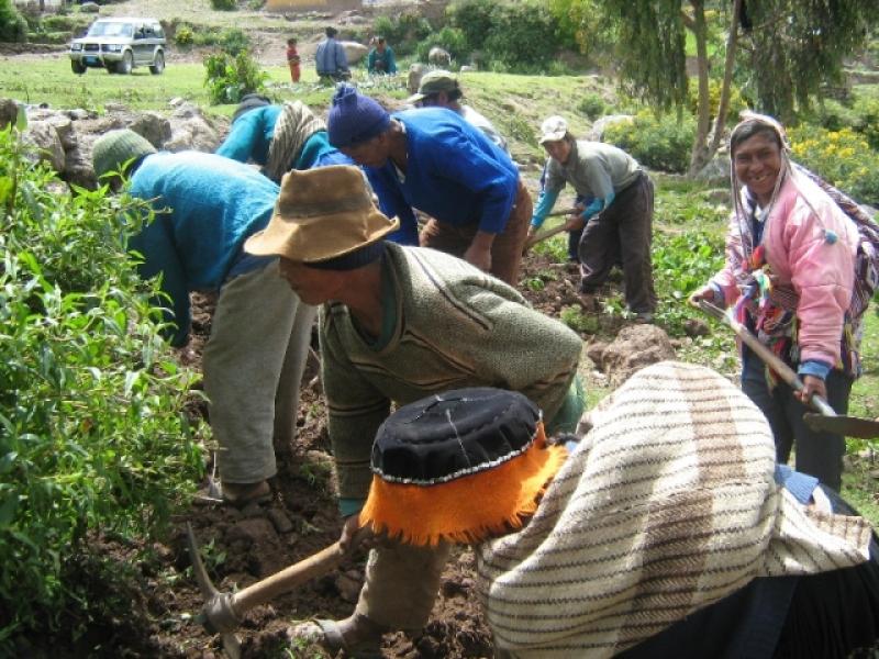 PROPUESTAS PARA LA CAPITALIZACIÓN DEL PEQUEÑO AGRICULTOR