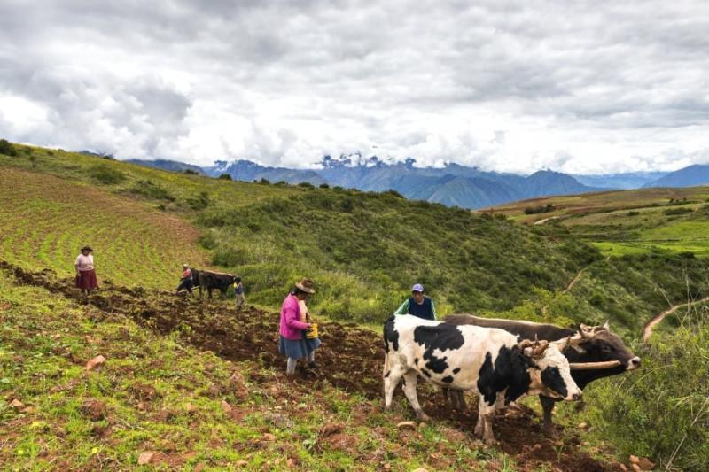 Protocolo de Interoperabilidad de Información Geográfica simplificará titulación de la propiedad agraria ejecutada por Gobiernos Regionales