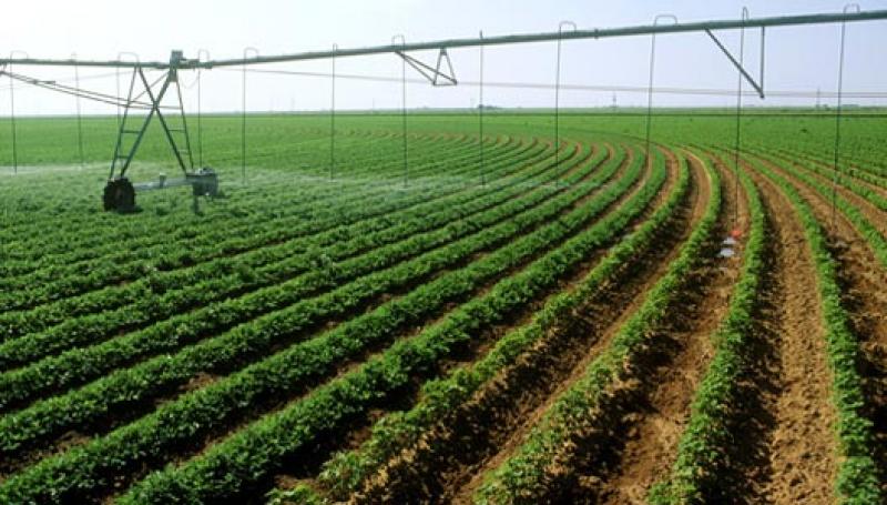 PROYECTO ALTO PIURA MEJORARÍA OFERTA AGROEXPORTABLE EN US$ 400 MILLONES