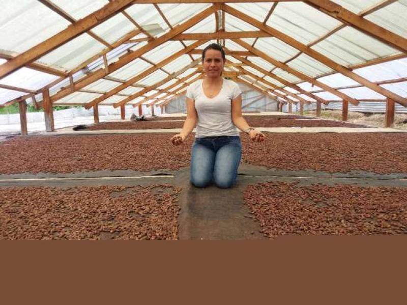 Proyecto Cacao debe mejorar  para beneficio de los miles de agricultores de San Martín