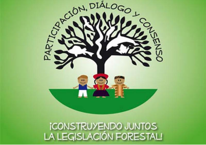 PROYECTO DE LEY FORESTAL EN FASE FINAL