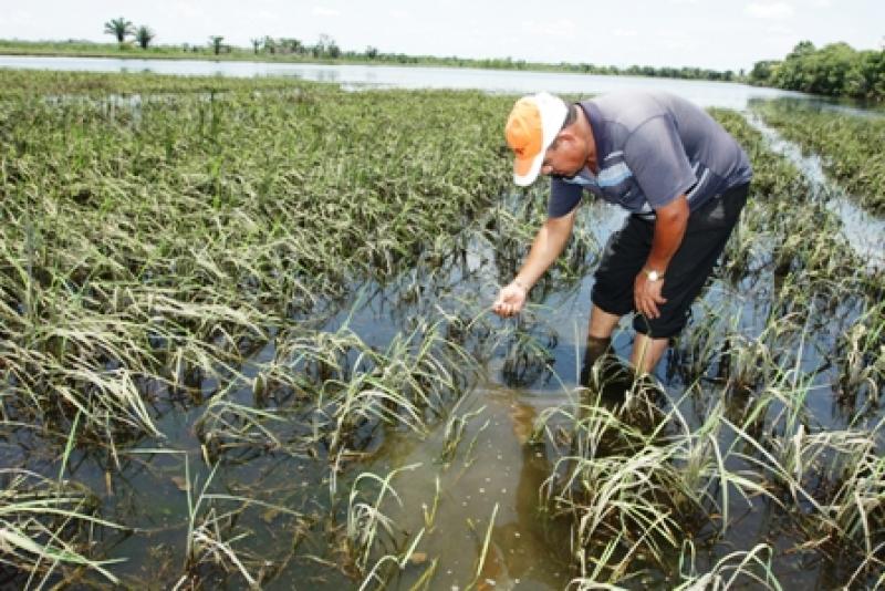 Proyecto del Seguro Agrícola del Ministerio de Agricultura de Perú fue seleccionado para realizar una evaluación de impacto con CAF