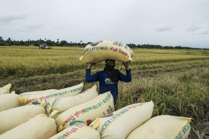 Publican ley para la reducción temporal de costos de urea y otros insumos importados relevantes para la economía nacional