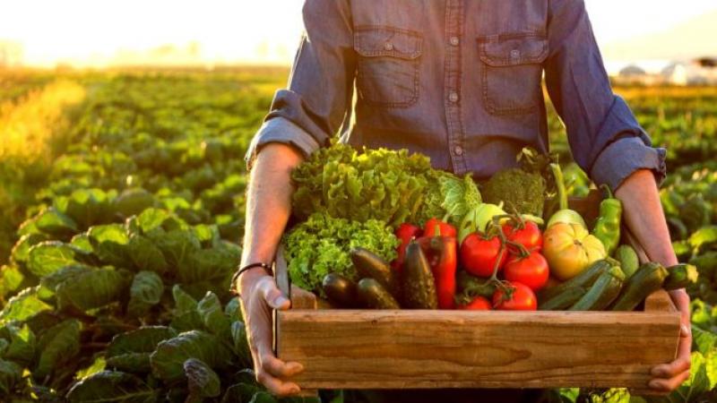 ¿Puede un mundo 100% orgánico producir suficiente alimento para toda la población?