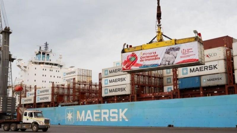 Puerto de Paracas supera las 280 mil toneladas de cebollas exportadas en temporada 2025-2026