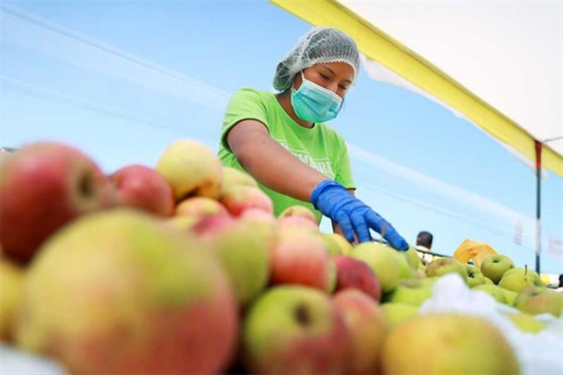 ¿Qué pueden hacer consumidores frente a la presencia de plaguicidas en frutas y verduras?