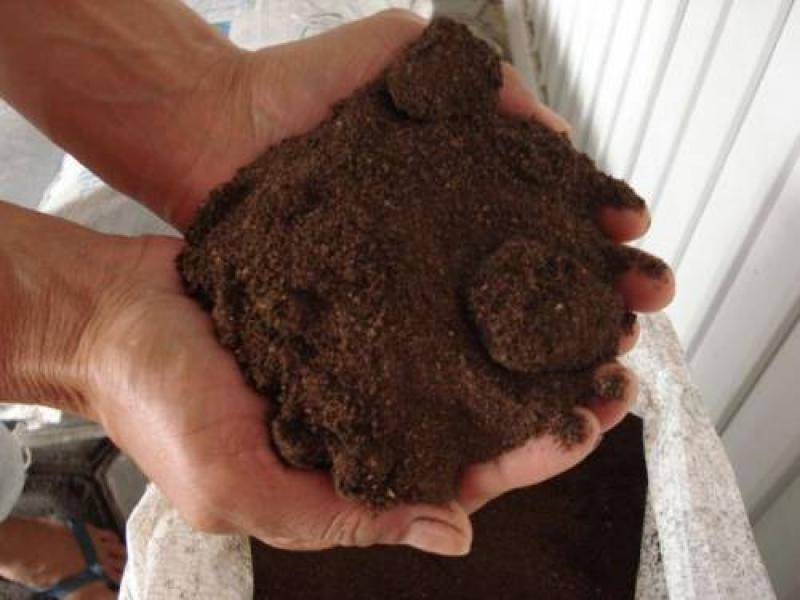 QUILLO ELABORA SU PROPIO HUMUS PARA CULTIVOS ORGÁNICOS