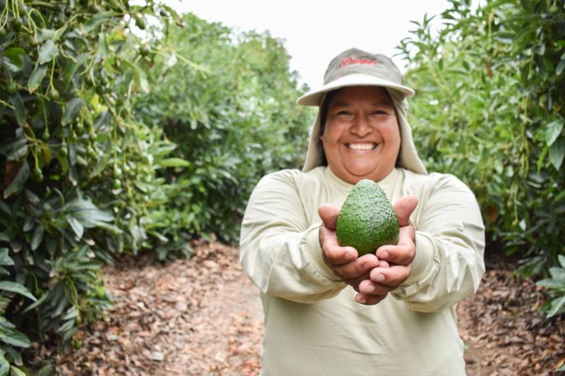 Ranking MERCO: Danper mantiene liderazgo en la agroindustria por su capacidad de atraer y mantener el talento