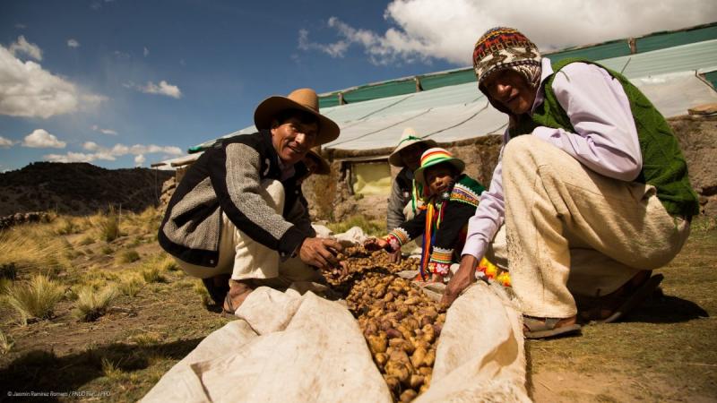 Realizarán cumbre nacional para definir lineamiento de la II Reforma Agraria