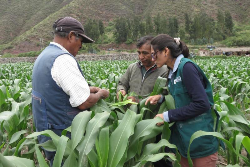 Recomiendan redoblar medidas frente a riesgo de plagas por aumento de temperatura