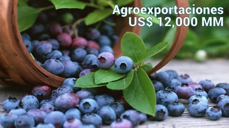 ¡Récord histórico! Más de US$ 12.000 millones en agroexportación