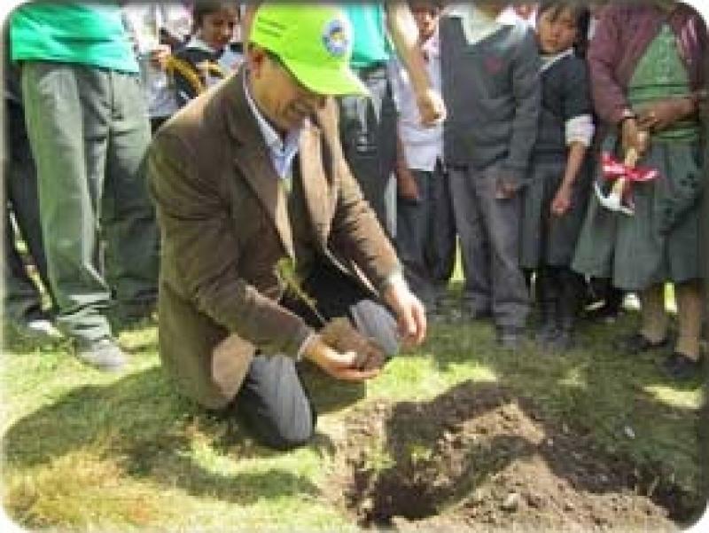 REFORESTARÁN 100 MIL HAS EN PASCO