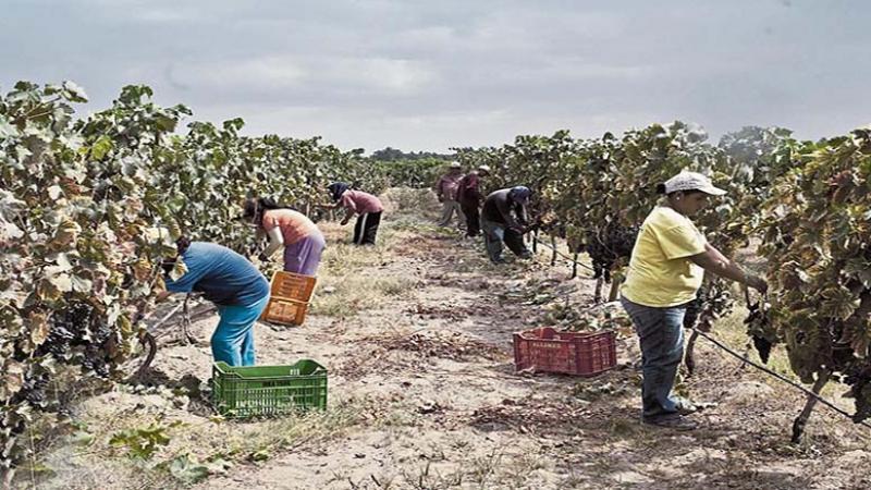 Régimen Agrario: resultados y consecuencias a más de un año de su derogación