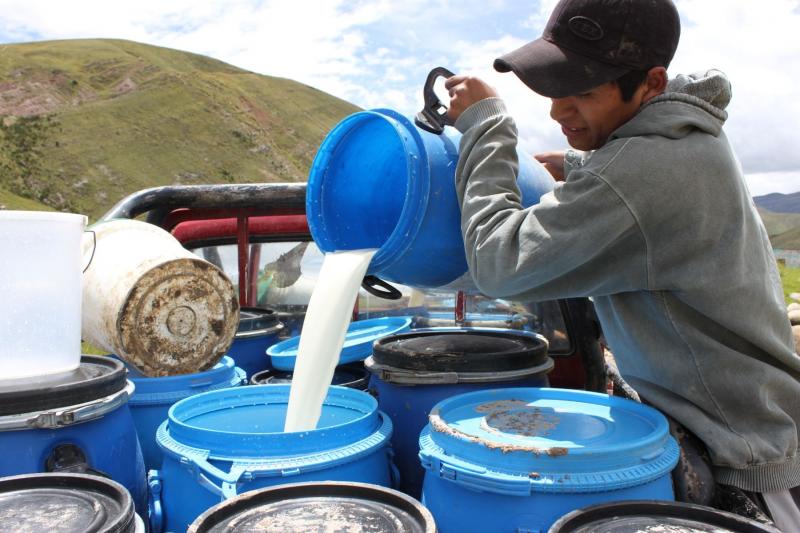 Reglamento de leche entraría en vigencia seis meses después de publicarse