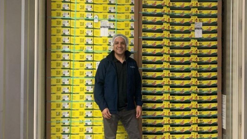 Retrasos en la materia seca y competencia con Europa marcan el inicio de la campaña de palta peruana