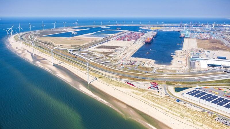 Retrasos en Puerto de Rotterdam generan un nuevo desafío para los agroexportadores peruanos