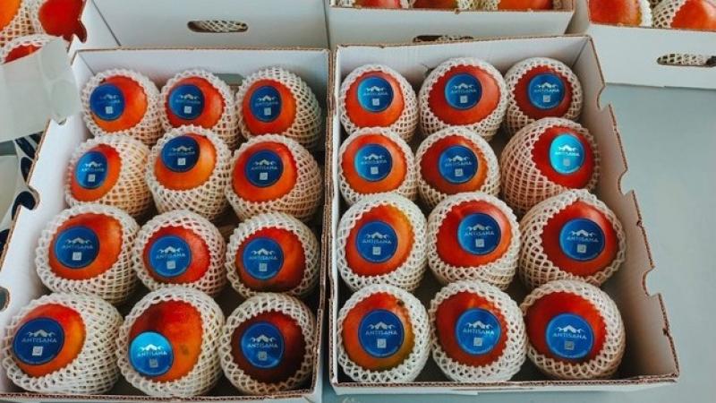 "Rompemos con el esquema tradicional de exportación de mango 'ready-to-eat'"