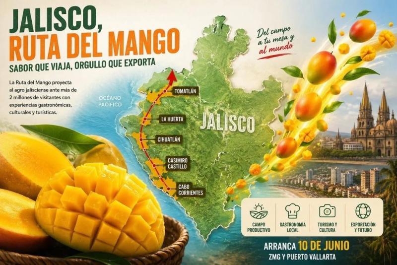 Ruta del Mango: la apuesta de Jalisco para unir turismo, gastronomía y exportación agrícola