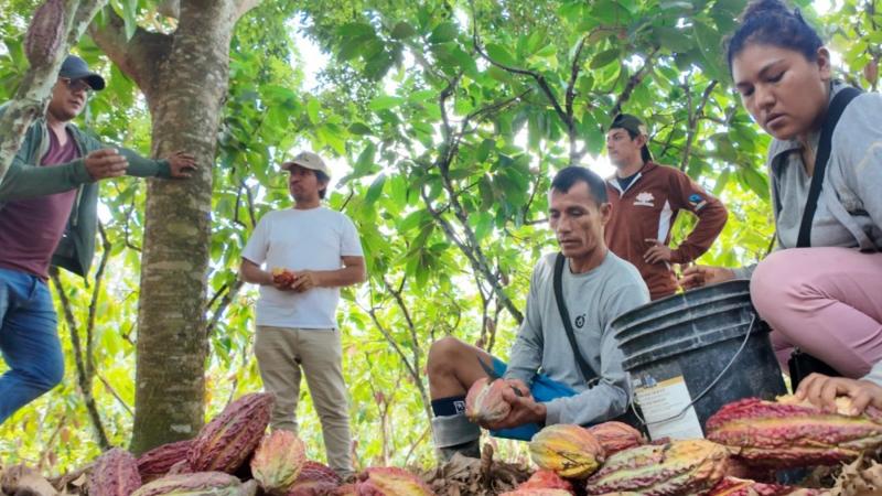 San Martín: Priorizan 26 cadenas productivas para mejorar competitividad de la región