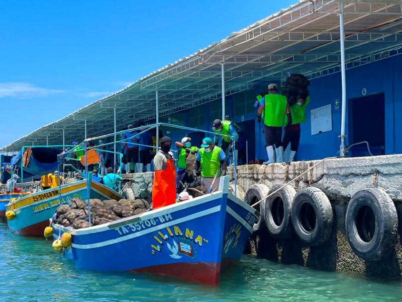 Sanipes ejecutó más del 90% de monitoreos sanitarios en la bahía de Sechura para su reclasificación sanitaria