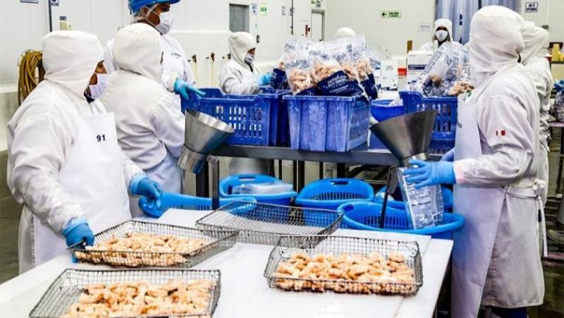 Sanipes habilita datos de plantas de procesamiento de productos hidrobiológicos