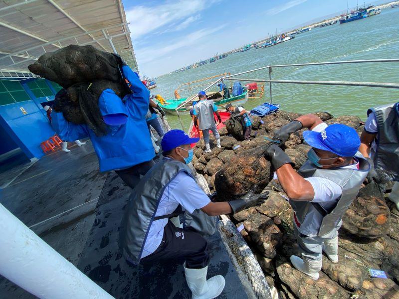 Sanipes revaluará la bahía de Sechura para determinar la calidad e idoneidad de los recursos hidrobiológicos