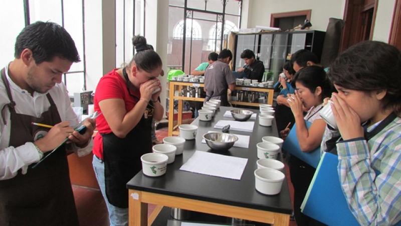 SE INICIÓ ETAPA SEMIFINAL DEL X CONCURSO NACIONAL DE CAFÉS DE CALIDAD 2014
