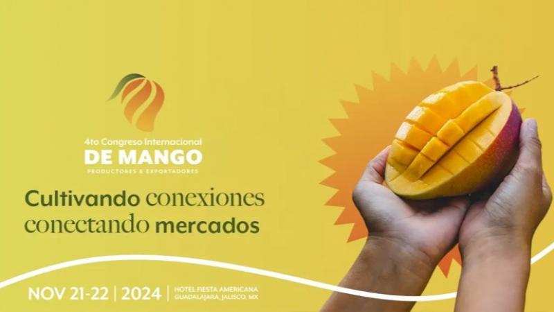Se viene el Cuarto Congreso Internacional del Mango de México: “Cultivando conexiones, conectando mercados”