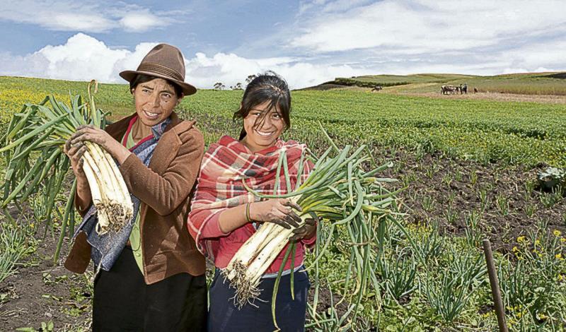 Segunda reforma agraria no contempla expropiaciones