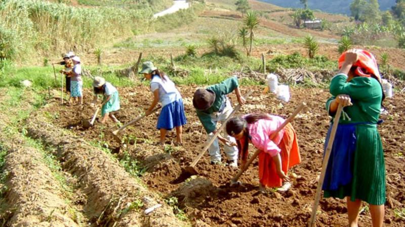 Segunda Reforma Agraria… tan retrógrada y acomplejada como la Primera