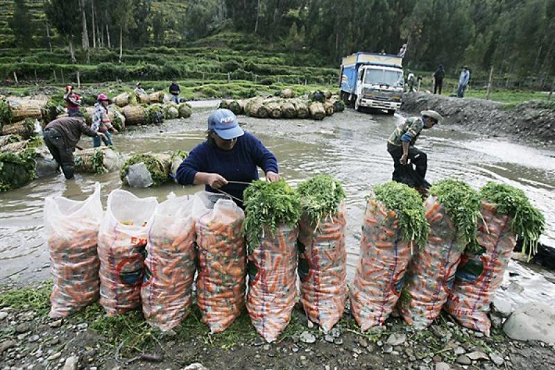 Seguro Agrario Catastrófico se activó en la Amazonía