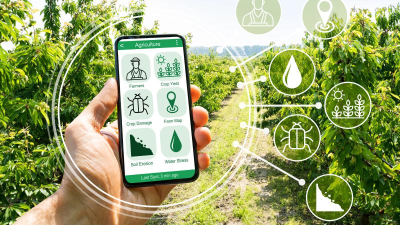 Seleccionan 15 startups agtech que participarán en la Semana de la Agricultura Digital