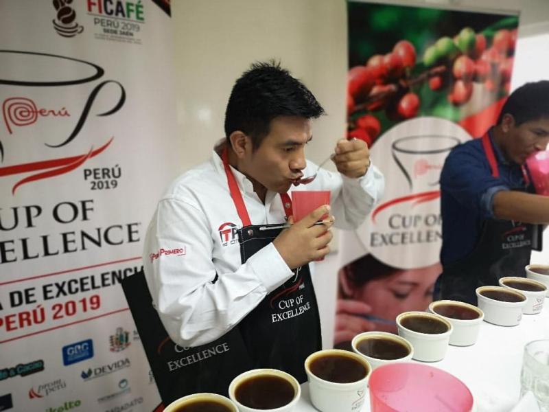 Seleccionan a 82 caficultores para III Competencia Taza de Excelencia Perú 2019