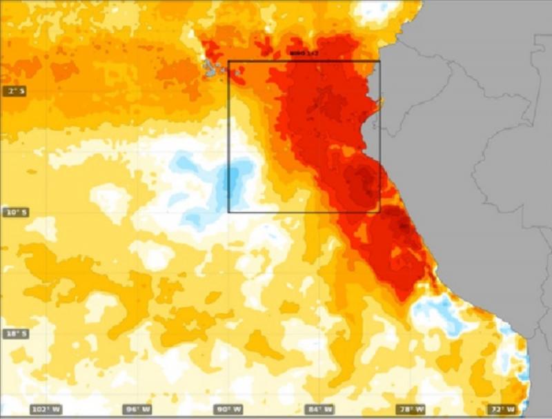 Senamhi prevé lluvias más intensas a partir de octubre o noviembre a causa de El Niño Global y El Niño Costero