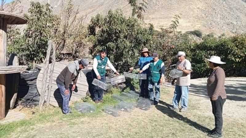 Senasa capacita a productores en 15 regiones del país para prevenir propagación de plaga de roedores