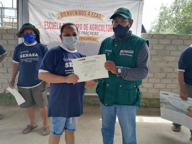 Senasa capacitó a agricultores para producir naranjas sanas e inocuas