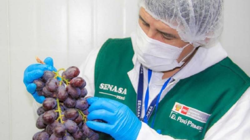 Senasa: Crean Unidad de Evaluación de Riesgos de Alimentos Agropecuarios Primarios y Piensos